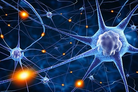 Neuroangiogenesis: How Nerves and Blood Vessels Fuel Endometriosis